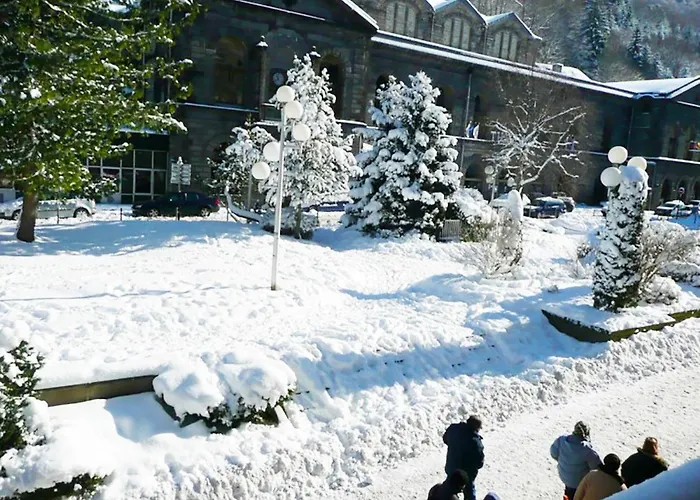 Marie Locations Coeur Village